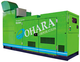 Biogas power generator